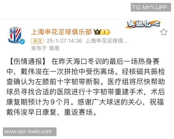 足球伤停情况分析及对各球队影响的深度解读与预测