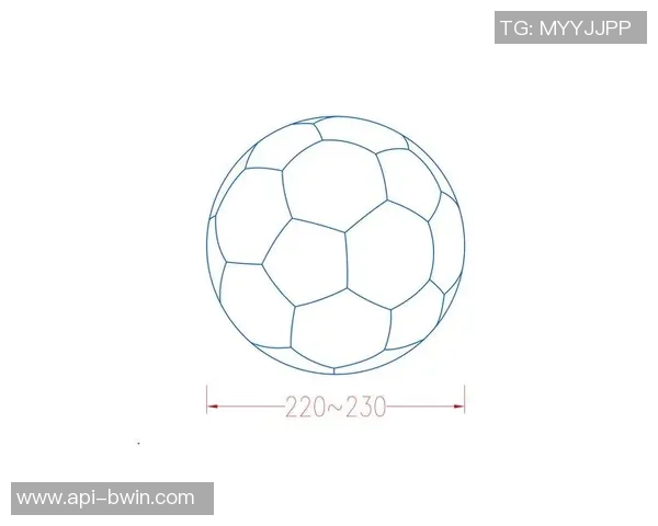 足球研究性学习报告探索足球战术演变与技术发展的综合分析